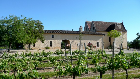 Vignes